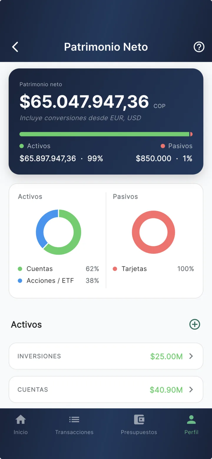Net Worth screen: the calculated net worth with conversions from EUR and USD, the assets (99%) vs liabilities (1%) bar, and the breakdown by type.